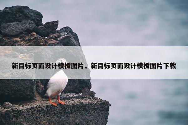 新目标页面设计模板图片，新目标页面设计模板图片下载