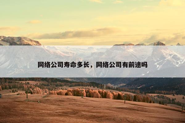 网络公司寿命多长，网络公司有前途吗
