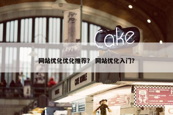 网站优化优化推荐？ 网站优化入门？