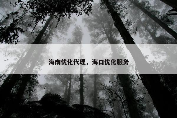 海南优化代理，海口优化服务