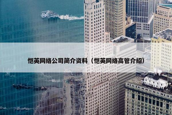 恺英网络公司简介资料（恺英网络高管介绍）