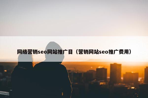 网络营销seo网站推广目（营销网站seo推广费用）