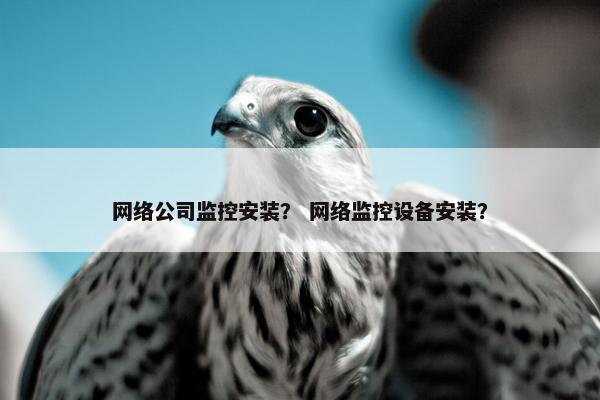 网络公司监控安装？ 网络监控设备安装？