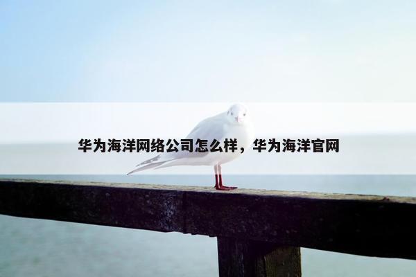 华为海洋网络公司怎么样，华为海洋官网