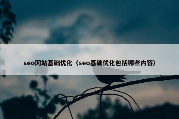 seo网站基础优化（seo基础优化包括哪些内容）