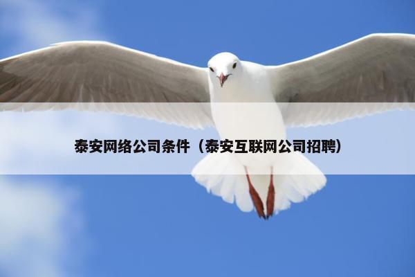 泰安网络公司条件（泰安互联网公司招聘）