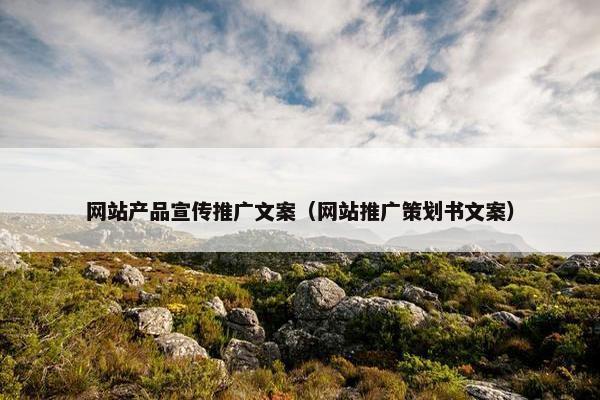 网站产品宣传推广文案（网站推广策划书文案）