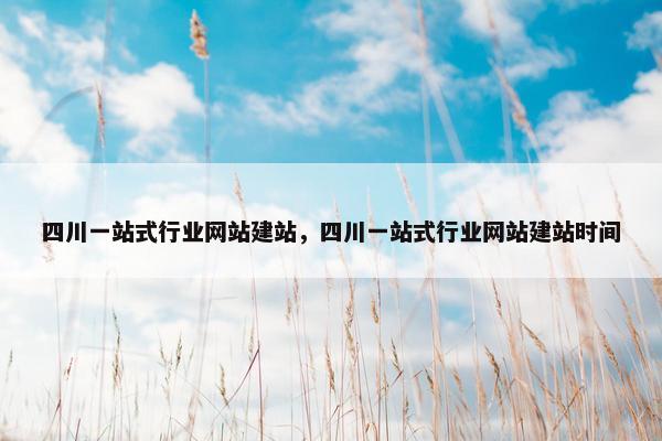 四川一站式行业网站建站，四川一站式行业网站建站时间
