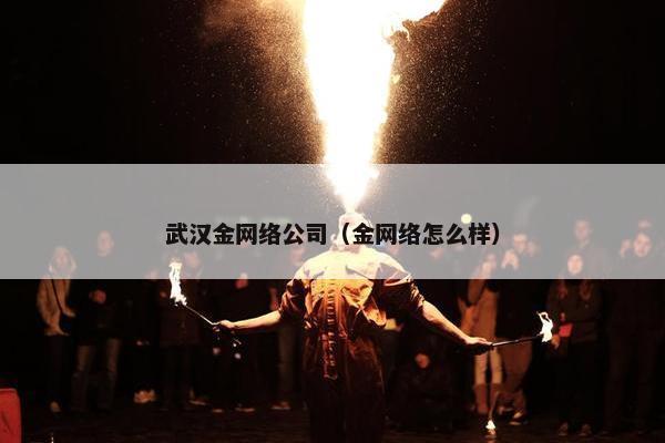 武汉金网络公司（金网络怎么样）