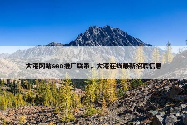 大港网站seo推广联系，大港在线最新招聘信息