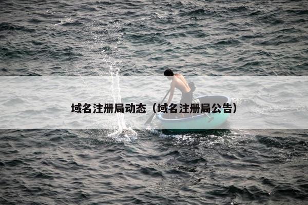 域名注册局动态（域名注册局公告）