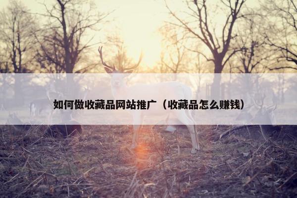 如何做收藏品网站推广（收藏品怎么赚钱）