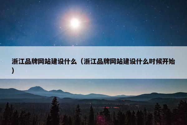 浙江品牌网站建设什么（浙江品牌网站建设什么时候开始）