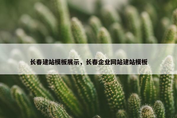 长春建站模板展示，长春企业网站建站模板