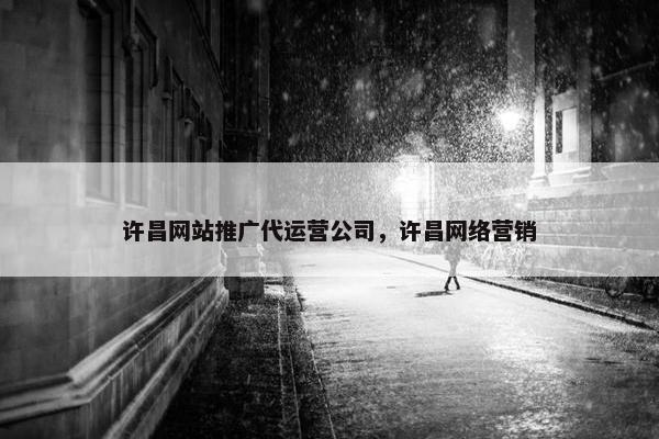 许昌网站推广代运营公司，许昌网络营销