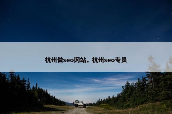 杭州做seo网站，杭州seo专员
