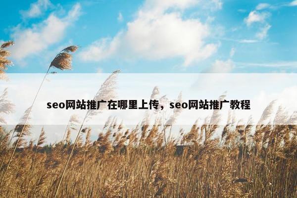 seo网站推广在哪里上传，seo网站推广教程