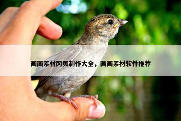 画画素材网页制作大全，画画素材软件推荐