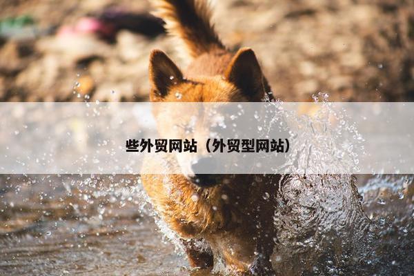 些外贸网站（外贸型网站）