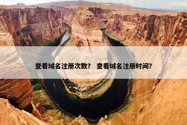 查看域名注册次数？ 查看域名注册时间？