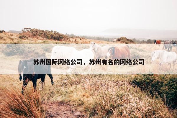 苏州国际网络公司，苏州有名的网络公司