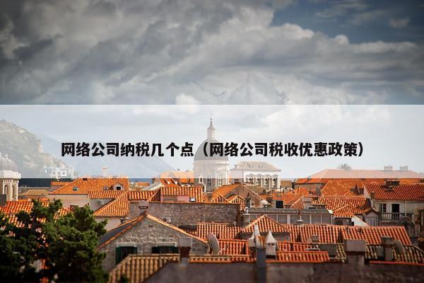 网络公司纳税几个点（网络公司税收优惠政策）