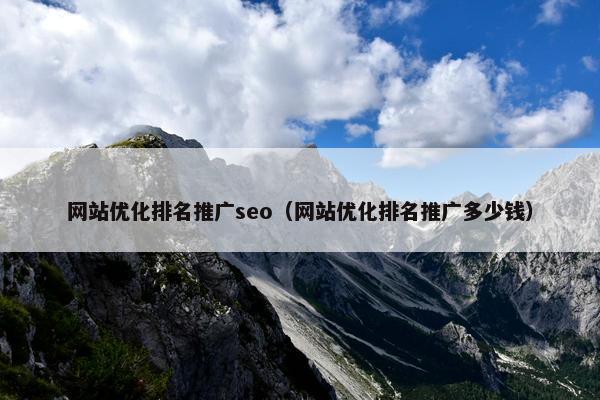 网站优化排名推广seo（网站优化排名推广多少钱）