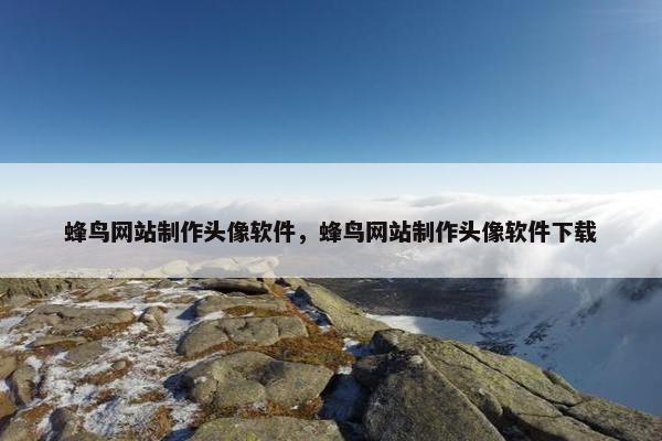蜂鸟网站制作头像软件，蜂鸟网站制作头像软件下载