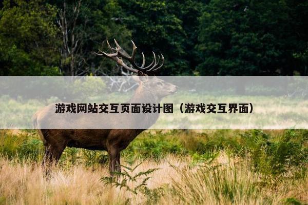 游戏网站交互页面设计图（游戏交互界面）