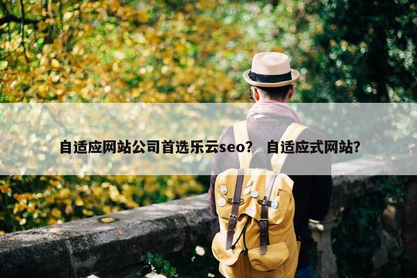 自适应网站公司首选乐云seo？ 自适应式网站？