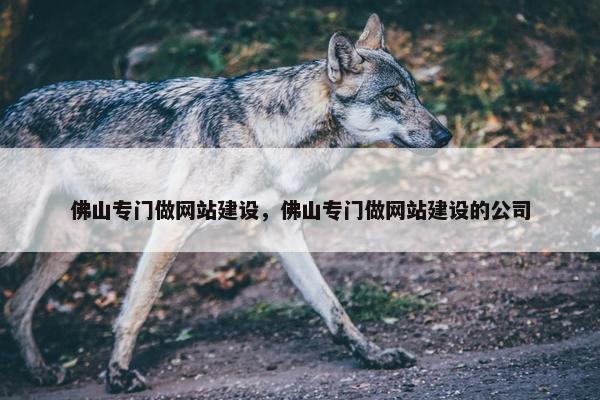 佛山专门做网站建设，佛山专门做网站建设的公司