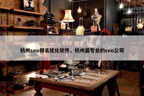 杭州seo排名优化软件，杭州最专业的seo公司