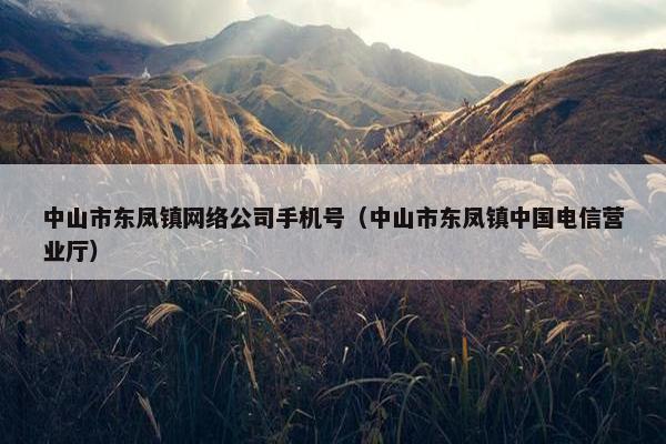 中山市东凤镇网络公司手机号（中山市东凤镇中国电信营业厅）