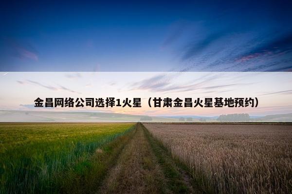 金昌网络公司选择1火星（甘肃金昌火星基地预约）
