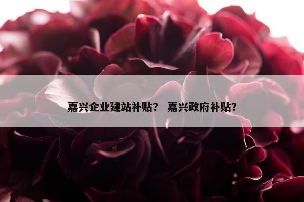 嘉兴企业建站补贴？ 嘉兴政府补贴？