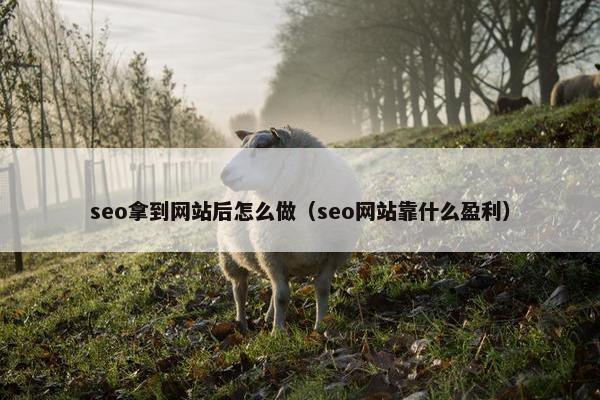 seo拿到网站后怎么做（seo网站靠什么盈利）