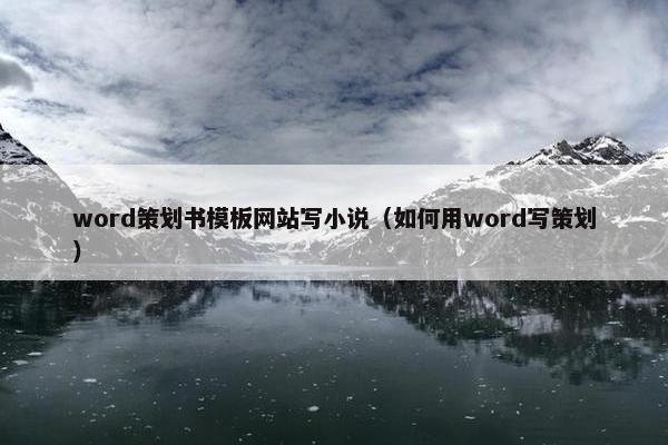 word策划书模板网站写小说（如何用word写策划）
