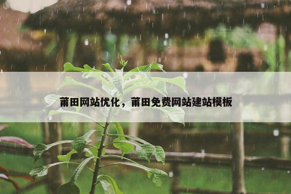 莆田网站优化，莆田免费网站建站模板
