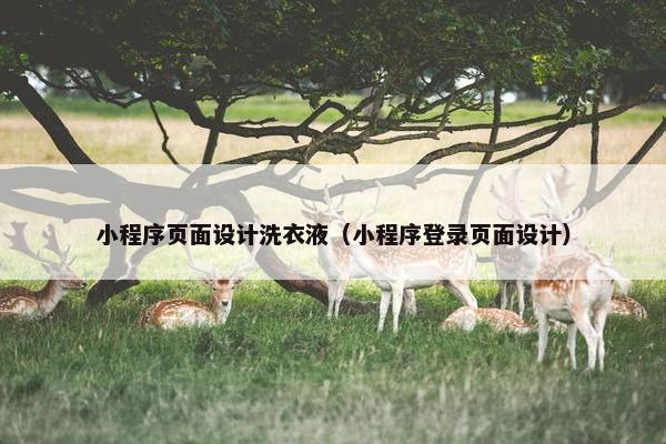小程序页面设计洗衣液（小程序登录页面设计）