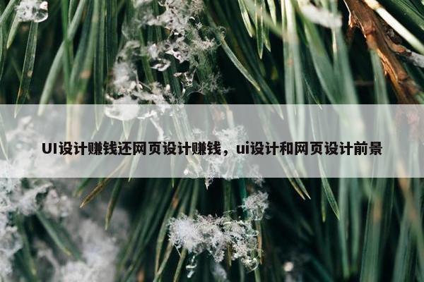 UI设计赚钱还网页设计赚钱，ui设计和网页设计前景