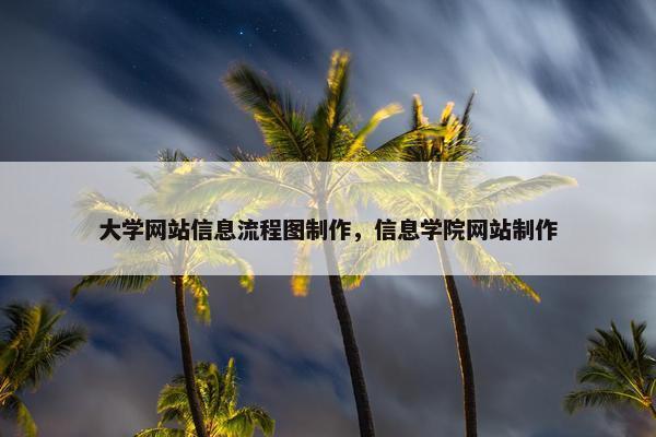 大学网站信息流程图制作，信息学院网站制作