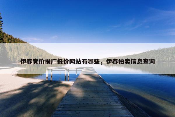 伊春竞价推广报价网站有哪些，伊春拍卖信息查询
