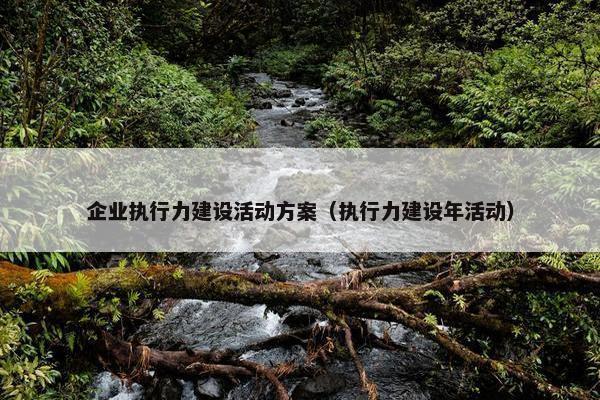 企业执行力建设活动方案（执行力建设年活动）