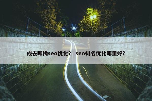 成去哪找seo优化？ seo排名优化哪里好？