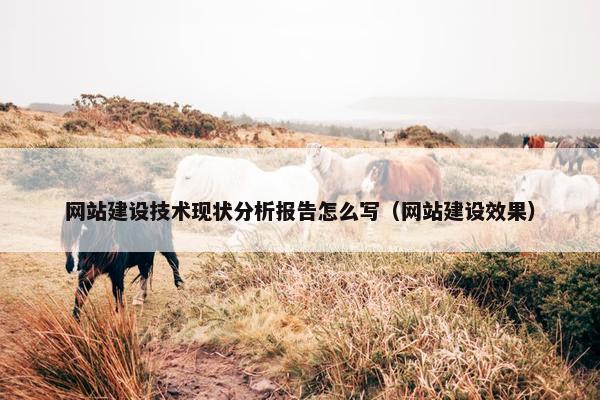 网站建设技术现状分析报告怎么写（网站建设效果）
