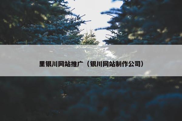 里银川网站推广（银川网站制作公司）