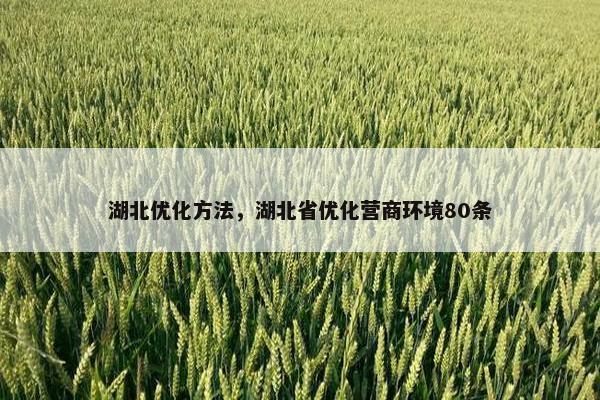 湖北优化方法，湖北省优化营商环境80条