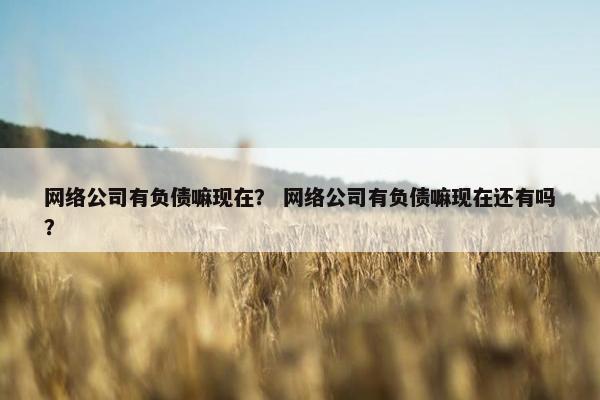 网络公司有负债嘛现在？ 网络公司有负债嘛现在还有吗？