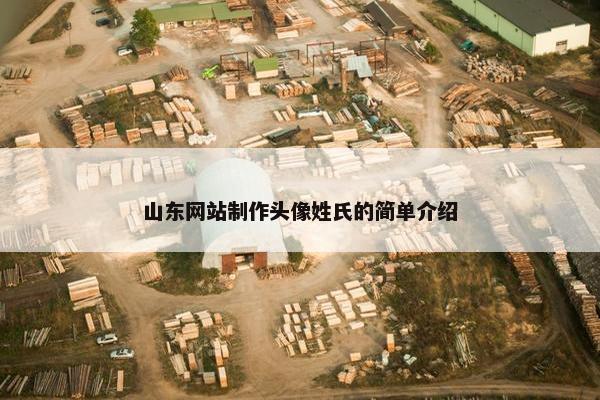 山东网站制作头像姓氏的简单介绍