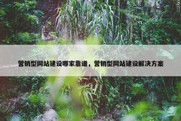 营销型网站建设哪家靠谱，营销型网站建设解决方案